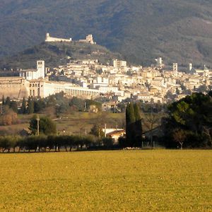 Il Borgo del Fattore B&B